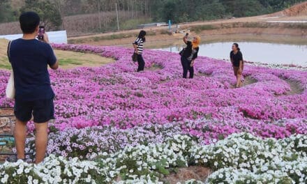 คาดหนาวนี้ท่องเที่ยววังน้ำเขียวเงินสะพัด10ล้านต่อสัปดาห์