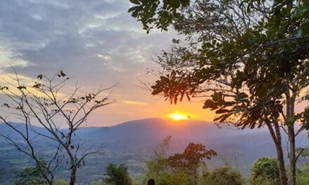 วังน้ำเขียว โคราช ลดราคาห้องพัก50%รับ นทท หนีฝุ่นพิษPM2.5