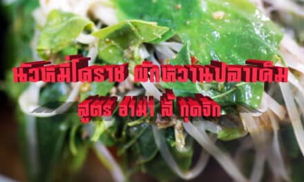 มุมเมนูความอร่อย นั่วหมี่โคราชผักหวานปลาเค็ม
