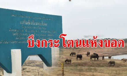 บึงกระโตนแห้งขอด ขณะที่ผู้ว่าโคราช ลั่นต้องให้มีน้ำใช้จนถึงสิ้น มิ.ย.