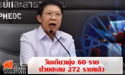 ด่วน! ผู้ป่วยโควิด รายใหม่วันเดียวพุ่ง 60 ราย ป่วยสะสม 272 ราย