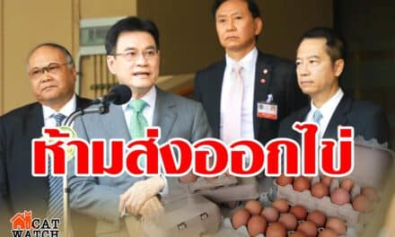 “พาณิชย์” ประกาศด่วน ห้ามส่งออกไข่ 7 วัน แก้ปัญหาไข่ขาดตลาด