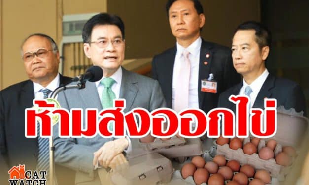 “พาณิชย์” ประกาศด่วน ห้ามส่งออกไข่ 7 วัน แก้ปัญหาไข่ขาดตลาด