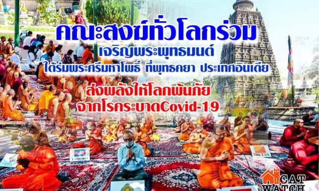 คณะสงฆ์ทั่วโลกร่วมเจริญพระพุทธมนต์บท “รัตนสูตร”ใต้ร่มพระศรีมหาโพธิ์ ที่พุทธคยา ประเทศอินเดีย