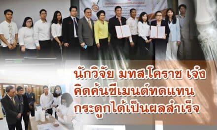 มทส.โคราช เจ๋ง คิดค้นซีเมนต์ทดแทนกระดูก