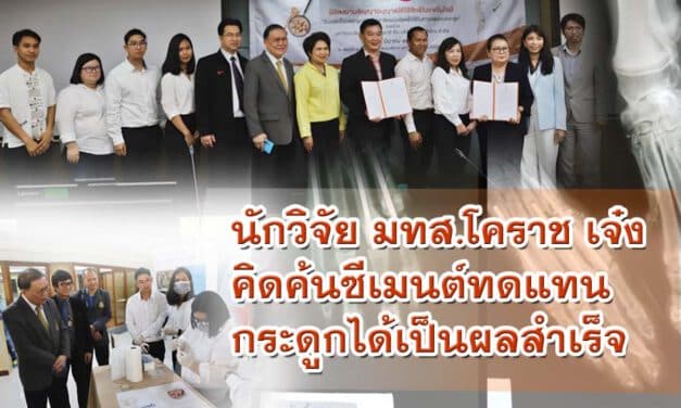 มทส.โคราช เจ๋ง คิดค้นซีเมนต์ทดแทนกระดูก