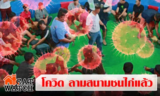 ด่วน คิว “เซียนไก่” ติดโควิดแล้ว