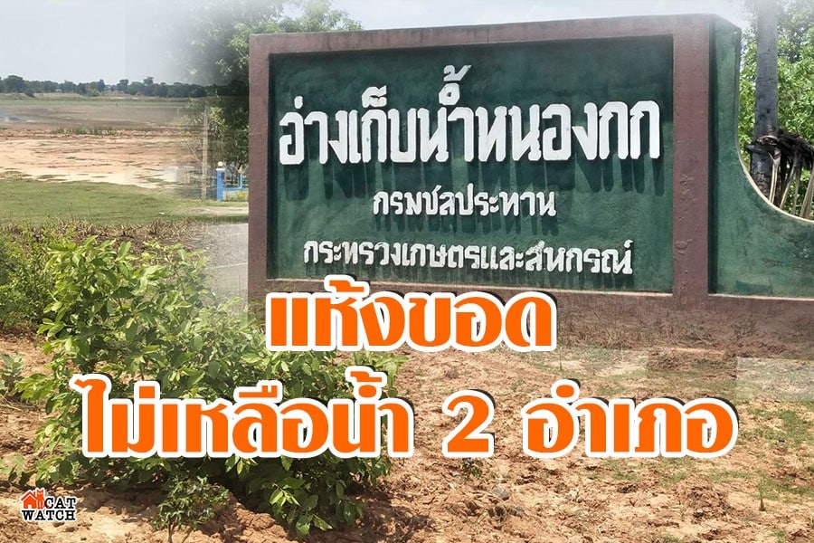 แห้งขอด อ่างเก็บน้ำหนองกก ไม่เหลือน้ำ 2อำเภอขาดน้ำอุปโภค ...