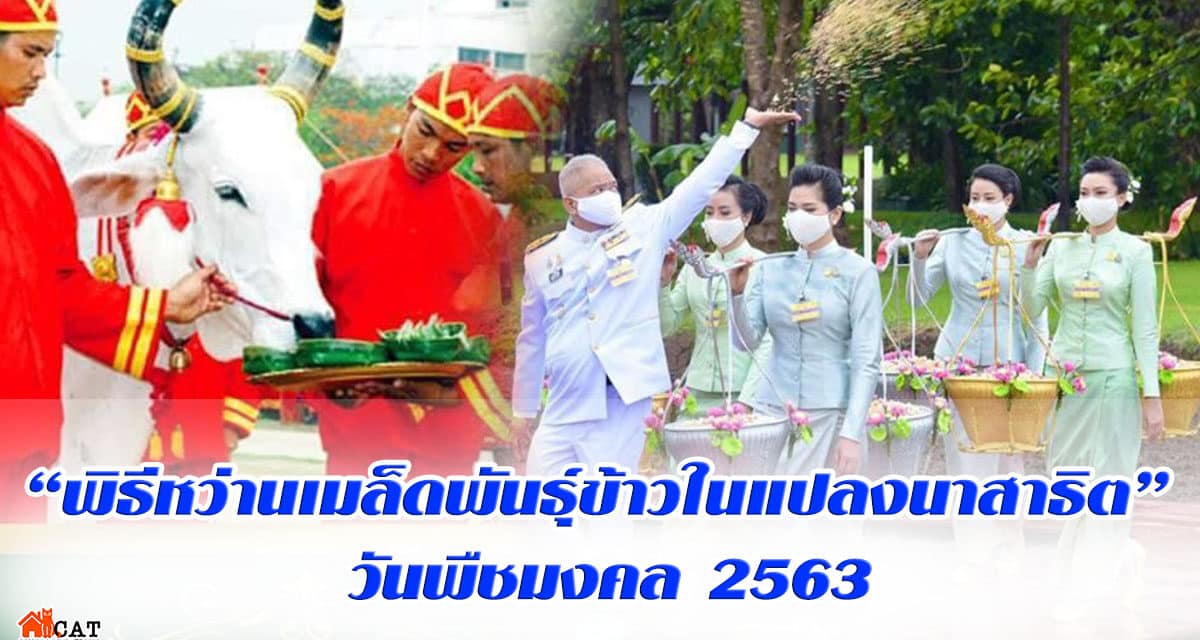 “พิธีหว่านเมล็ดพันธุ์ข้าวในแปลงนาสาธิต” วันพืชมงคล 2563