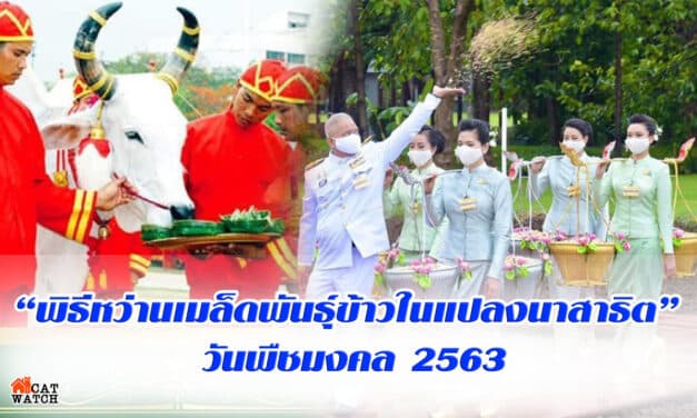 “พิธีหว่านเมล็ดพันธุ์ข้าวในแปลงนาสาธิต” วันพืชมงคล 2563