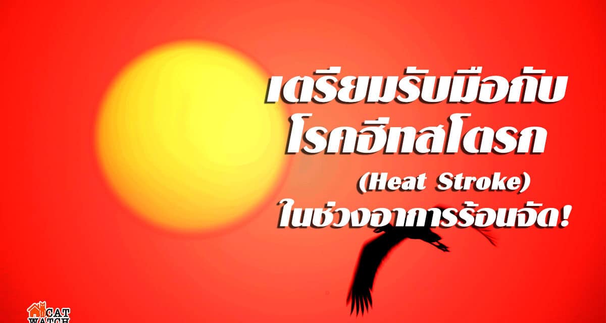 เตรียมรับมือกับโรคฮีทสโตรก (Heat Stroke) ในช่วงอาการร้อนจัด!