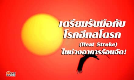 เตรียมรับมือกับโรคฮีทสโตรก (Heat Stroke) ในช่วงอาการร้อนจัด!