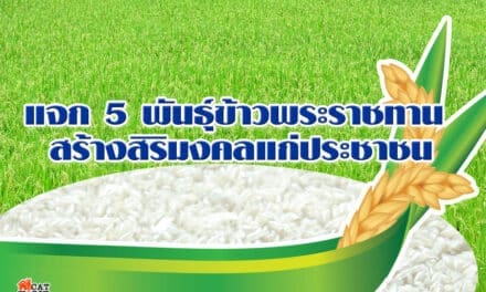 แจก 5 พันธุ์ข้าวพระราชทาน สร้างสิริมงคลแก่ประชาชน