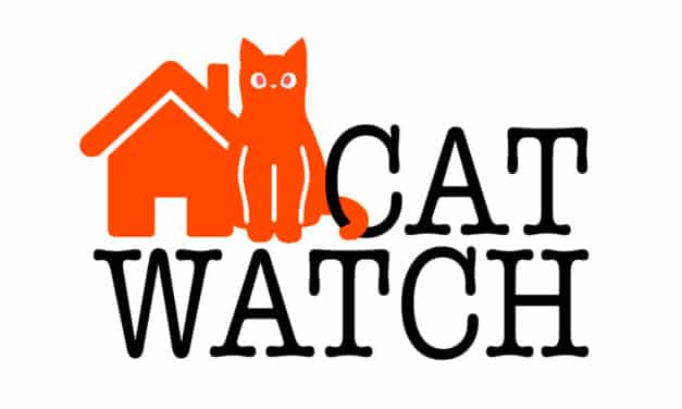 ติดต่อเรา