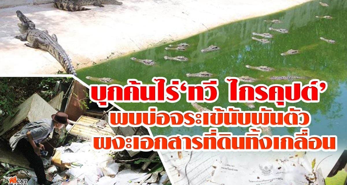 บุกค้นไร่‘ทวี ไกรคุปต์’ พบบ่อจระเข้นับพันตัว ผงะเอกสารที่ดินทิ้งเกลื่อน