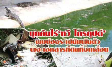 บุกค้นไร่‘ทวี ไกรคุปต์’ พบบ่อจระเข้นับพันตัว ผงะเอกสารที่ดินทิ้งเกลื่อน
