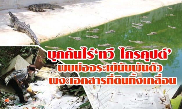 บุกค้นไร่‘ทวี ไกรคุปต์’ พบบ่อจระเข้นับพันตัว ผงะเอกสารที่ดินทิ้งเกลื่อน