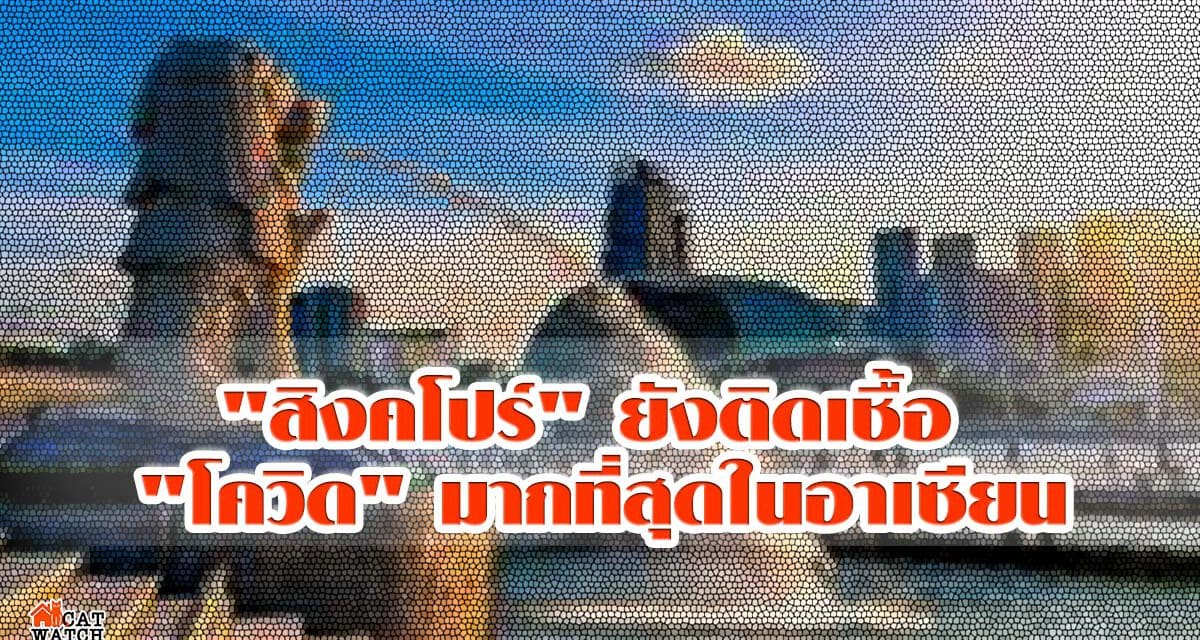 “สิงคโปร์” ยังติดเชื้อ “โควิด” มากที่สุดในอาเซียน “อินโดฯ” วิกฤติพบผู้ป่วยรายใหม่ 1.2 พันราย