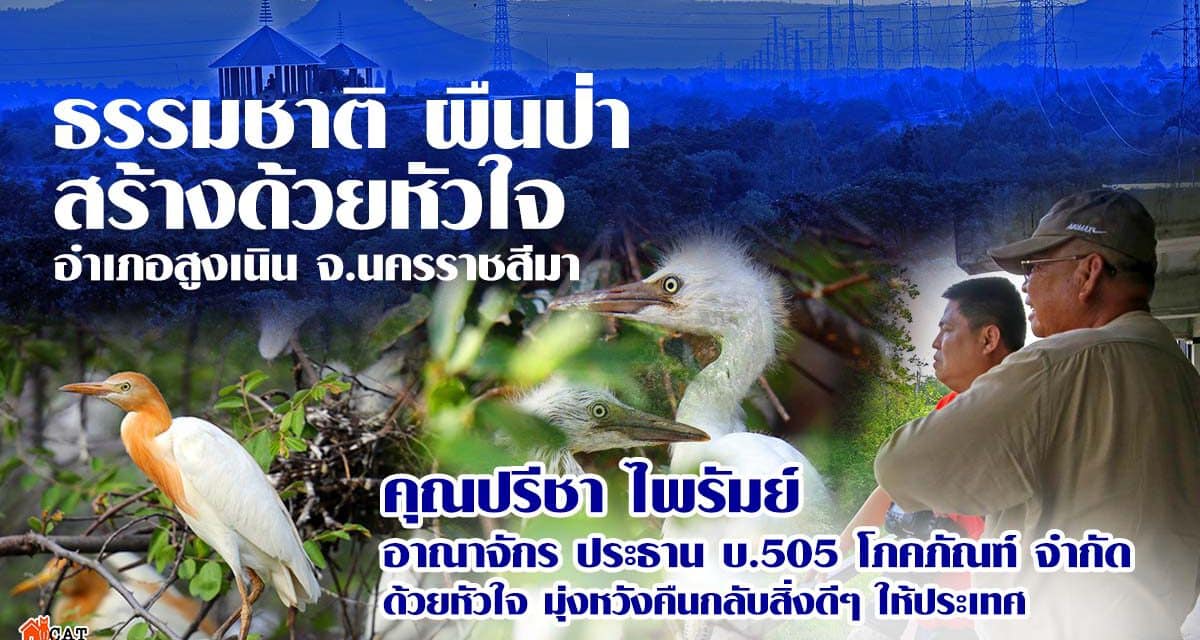 ธรรมชาติ ผืนป่า สร้างด้วยหัวใจ อำเภอสูงเนิน จ.นครราชสีมา คุณปรีชา ไพรัมย์ เปิดอาณาจักร ประธาน บ.505 โภคภัณฑ์ จำกัด ด้วยหัวใจ มุ่งหวังคืนกลับสิ่งดีๆให้ประเทศ