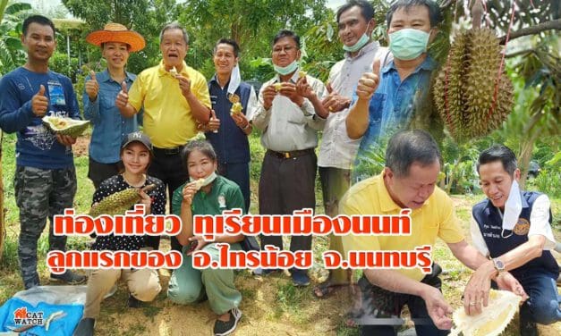 ท่องเที่ยว ทุเรียนเมืองนนท์ ลูกแรกของ อ.ไทรน้อย จ.นนทบรุี