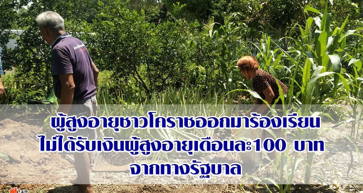 ผู้สูงอายุชาวโคราชออกมาร้องเรียนไม่ได้รับเงินผู้สูงอายุเดือนละ100 บาท จากทางรัฐบาล