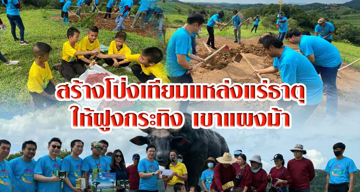 ชาวโคราช สร้างโป่งเทียมแหล่งแร่ธาตุให้ฝูงกระทิงเขาแผงม้า