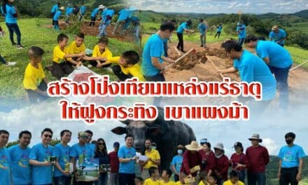ชาวโคราช สร้างโป่งเทียมแหล่งแร่ธาตุให้ฝูงกระทิงเขาแผงม้า