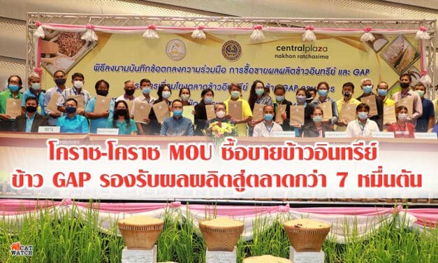 โคราช-โคราช MOU ซื้อขายข้าวอินทรีย์ ข้าวGAP รองรับผลผลิตสู่ตลาดกว่า 7หมื่นตัน