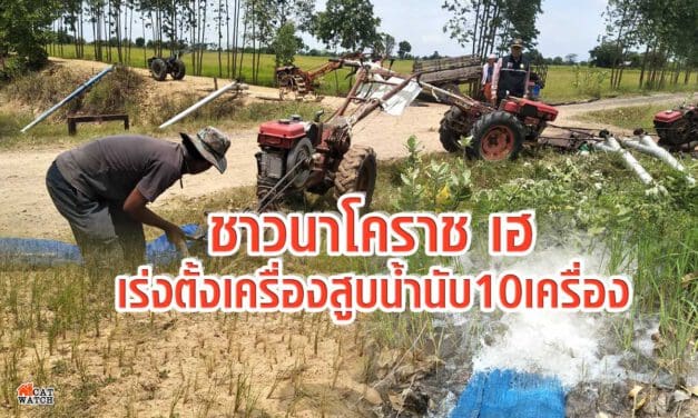 ชาวนาโคราชเฮ เร่งตั้งเครื่องสูบน้ำนับ10เครื่อง สูบน้ำเข้านา หลังน้ำในฝายเพิ่มสูงขึ้น