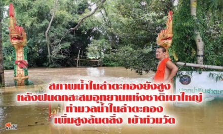 สภาพน้ำในลำตะคองยังสูง  หลังฝนตกสะสมอุทยานแห่งชาติเขาใหญ่  ทำมวลน้ำในลำตะคองเพิ่มสูงล้นตลิ่ง