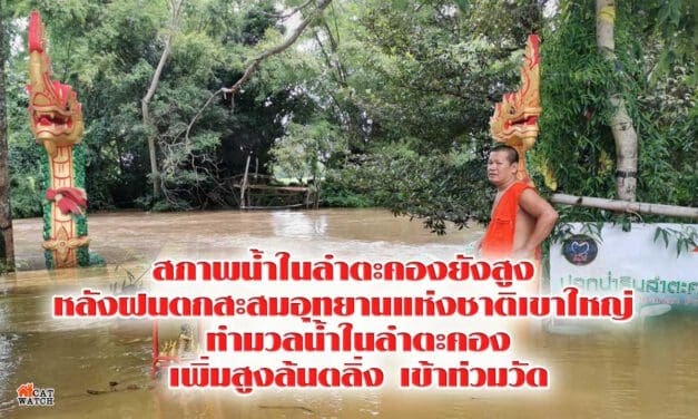 สภาพน้ำในลำตะคองยังสูง  หลังฝนตกสะสมอุทยานแห่งชาติเขาใหญ่  ทำมวลน้ำในลำตะคองเพิ่มสูงล้นตลิ่ง