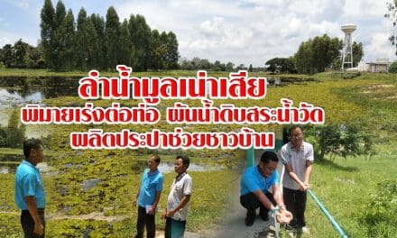 ลำน้ำมูลเน่าเสีย อำเภอพิมายเร่งต่อท่อผันน้ำดิบสระน้ำวัด ผลิตประปาช่วยชาวบ้าน