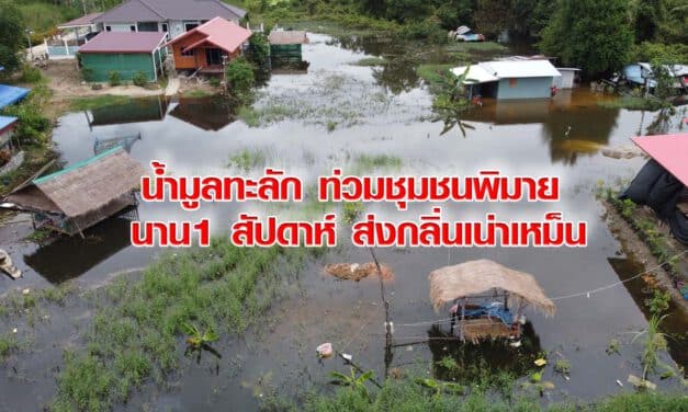 น้ำมูลทะลัก ท่วมชุมชนพิมาย นาน1 สัปดาห์ ส่งกลิ่นเน่าเหม็น