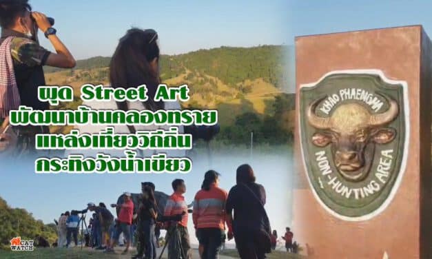ผุด Street Artพัฒนาบ้านคลองทรายแหล่งเที่ยววิถีถิ่น กระทิงวังน้ำเขียว