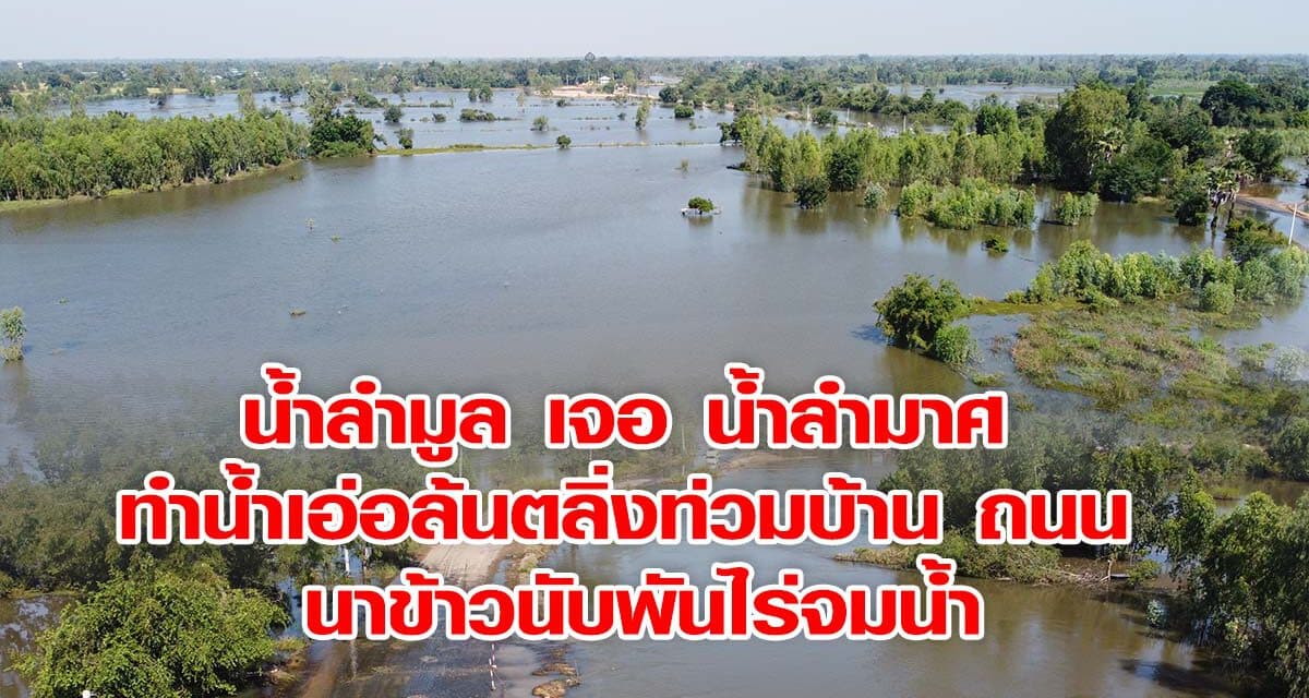 น้ำลำมูล เจอ น้ำลำมาศ ทำน้ำเอ่อล้นตลิ่งท่วมบ้าน ถนน นาข้าวนับพันไร่จมน้ำ