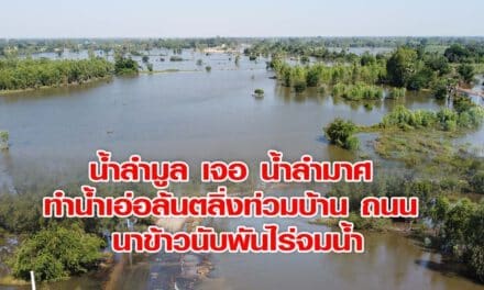 น้ำลำมูล เจอ น้ำลำมาศ ทำน้ำเอ่อล้นตลิ่งท่วมบ้าน ถนน นาข้าวนับพันไร่จมน้ำ