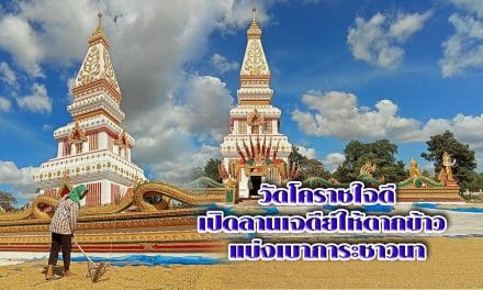 วัดโคราชใจดี  เปิดลานเจดีย์ให้ชาวนาตากข้าว
