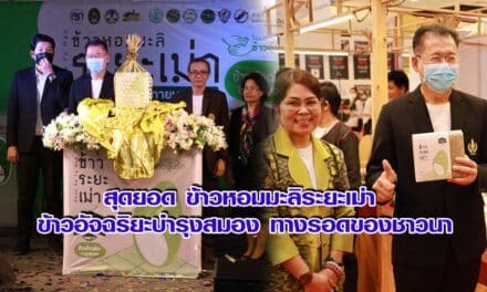 สุดยอด ข้าวหอมมะลิระยะเม่า ข้าวอัจฉริยะบำรุงสมอง ทางรอดของชาวนา