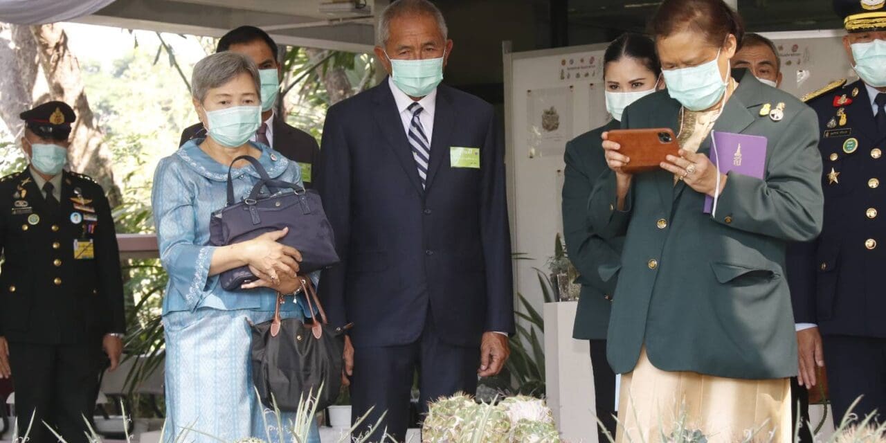 สวนนงนุช น้อมเกล้า จัดสวนถวาย สมเด็จพระกนิษฐาธิราชเจ้า กรมสมเด็จพระเทพรัตนราชสุดา ฯ สยามบรมราชกุมารี ในงาน “งานพรรณไม้งามอร่ามสวนหลวง ร.๙” ประจำปี 2563