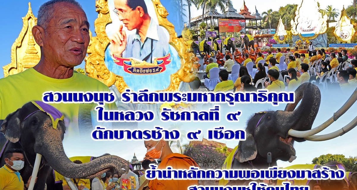 สวนนงนุช พัทยา ยึดหลักพอเพียง นำช้างแสนรู้ 9 เชือก ทำบุญตักบาตร ถวายเป็นพระราชกุศล ในหลวงรัชกาลที่ 9