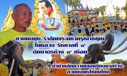 สวนนงนุช พัทยา ยึดหลักพอเพียง นำช้างแสนรู้ 9 เชือก ทำบุญตักบาตร ถวายเป็นพระราชกุศล ในหลวงรัชกาลที่ 9