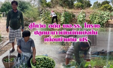 สู้โควิด อดีต ผอ.รร. โคราช ปลูกมะนาวพืชผักแบ่งปันเพื่อนบ้านกิน ฟรี