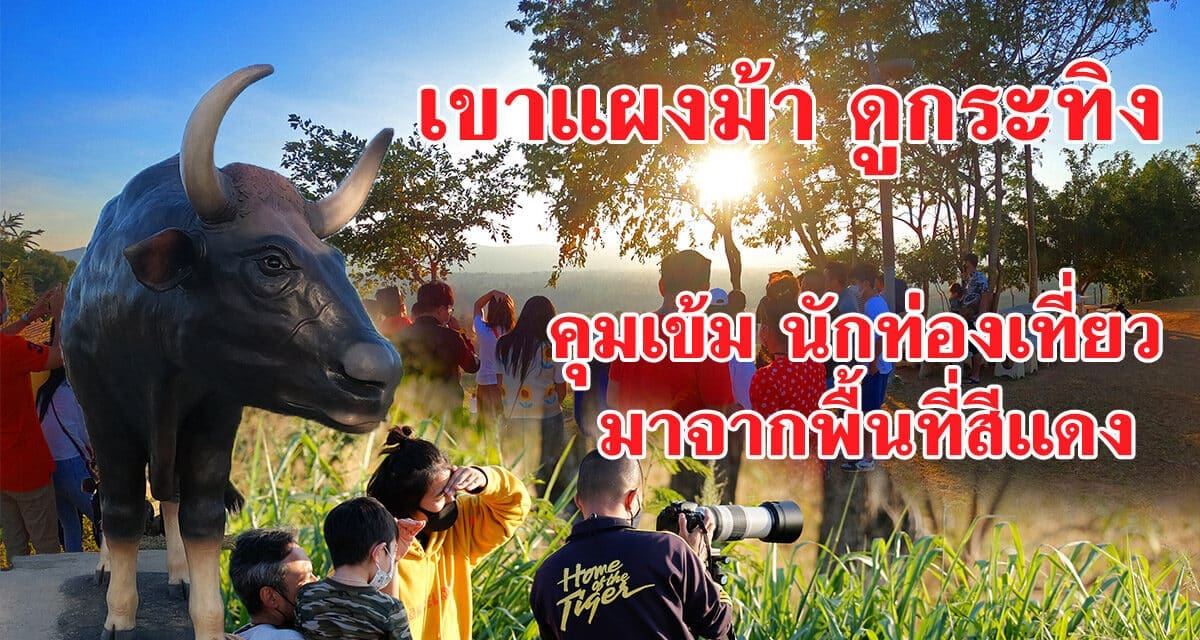 เขาแผงม้า ดูกระทิง คุมเข้ม นักท่องเที่ยวมาจากพื้นที่สีแดง ...