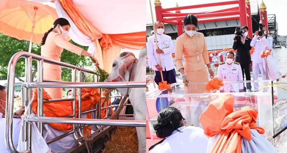 สมเด็จพระเจ้าลูกเธอ เจ้าฟ้าสิริวัณณวรีฯ ทรง​บำเพ็ญ​พระ​กุศล เนื่อง​ในวัน​คลัาย​วันประสูติ