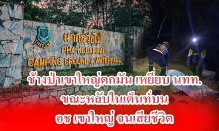 ช้างป่าเขาใหญ่ตกมัน เหยียบ นทท ขณะหลับในเต็นท์บน อช.เขาใหญ่ จนเสียชีวิต