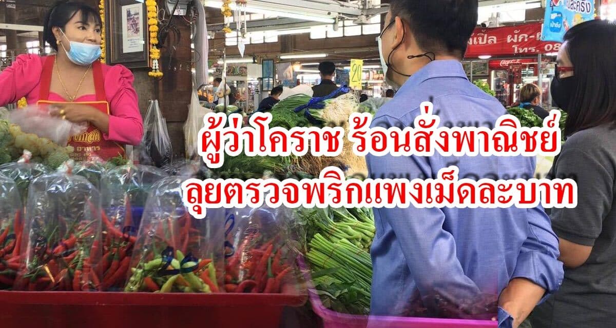 ผู้ว่าโคราช ร้อนสั่งพาณิชย์ลุยตรวจพริกแพงเม็ดละบาท