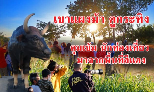 เขาแผงม้า ดูกระทิง คุมเข้ม นักท่องเที่ยวมาจากพื้นที่สีแดง