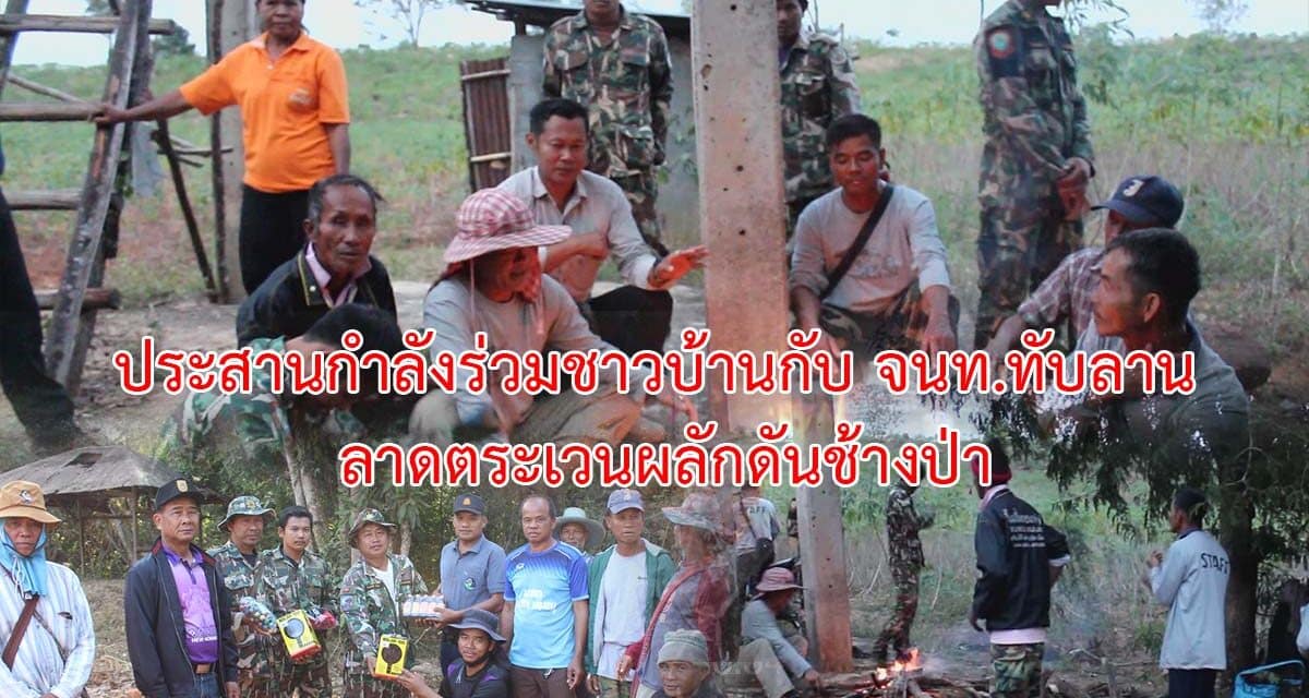 ประสานกำลังร่วมชาวบ้านกับจนท.ทับลาน ลาดตระเวนผลักดันช้างป่า