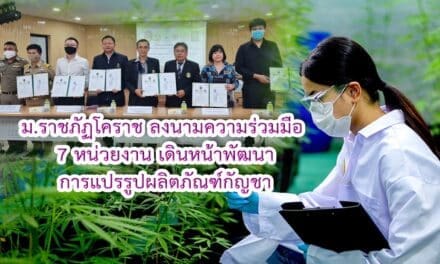 ม.ราชภัฏโคราช ลงนามความร่วมมือ 7 หน่วยงาน เดินหน้าพัฒนาการแปรรูปผลิตภัณฑ์กัญชาในเชิงพาณิชย์