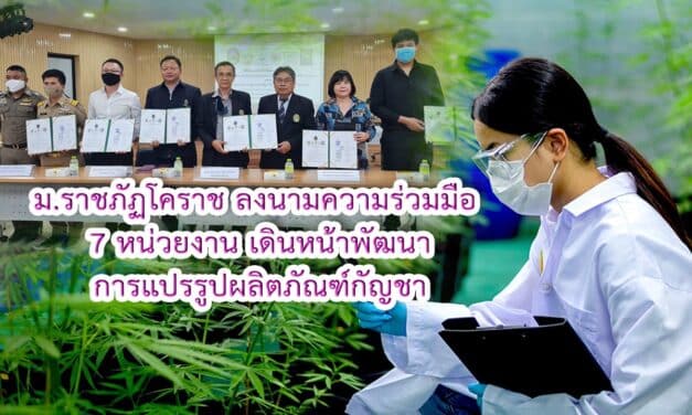 ม.ราชภัฏโคราช ลงนามความร่วมมือ 7 หน่วยงาน เดินหน้าพัฒนาการแปรรูปผลิตภัณฑ์กัญชาในเชิงพาณิชย์
